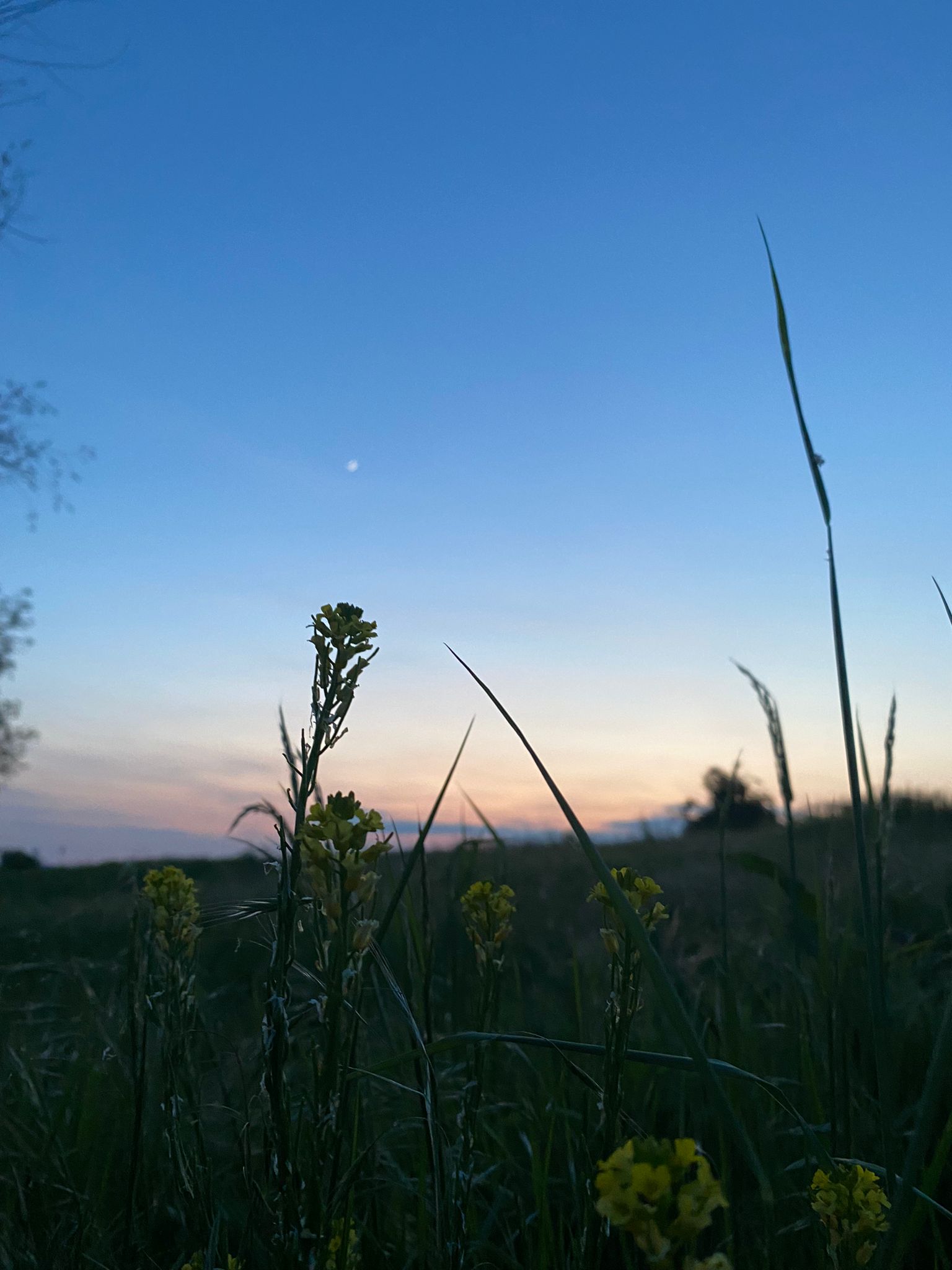 Abendstimmung am Wasser