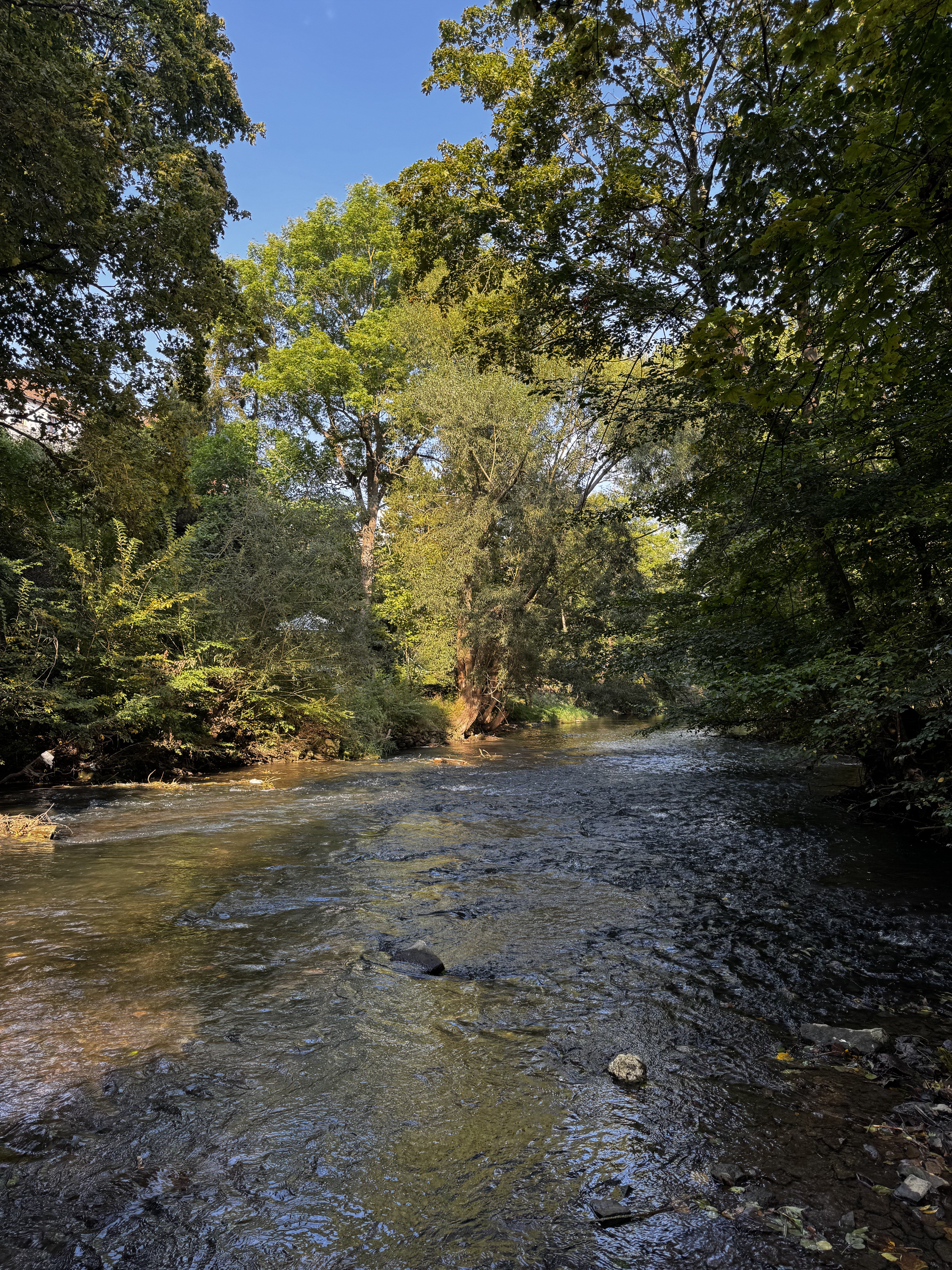 Fließgewässer in naturnaher Umgebung